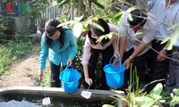 Kementerian Kesehatan Vietnam mencanangkan kampanye penanggulangan wabah penyakit akibat virus Zika dan demam berdarah