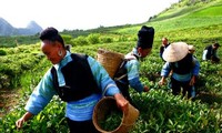 Hasil-guna dari kebijakan membantu pengembangan sosial-ekonomi di daerah pegunungan