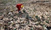 Kamboja meminta kepada Tiongkok supaya terus melepaskan air ke kawasan hilir sungai Mekong