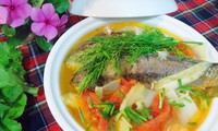 Memperkenalkan masakan-masakan dari rebung