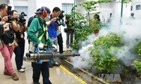 Jumlah kasus terinfeksi virus Zika di Singapura meningkat