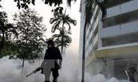 Virus Zika telah muncul di 73 negara dan teritori