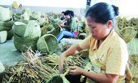 Memperhebat pekerjaan memikirkan kehidupan kaum miskin untuk mengentas dari kemiskinan secara berkesinambungan