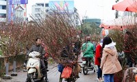 Enam pasar yang kental dengan suasana Hari Raya Tet 