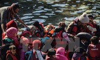 Uni Eropa terima lebih dari 700.000 migran pada tahun 2016