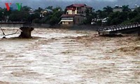  Hujan dan banjir di beberapa daerah di Vietnam menimbulkan kerugian besar tentang manusia dan harta