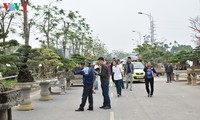 Intisari seni bonsai Vietnam