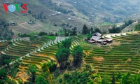 Sawah terasering Ha Giang pada musim memuntahkan air