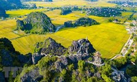 Banyak aktivitas yang bergelora pada Pekan Pariwisata Ninh  Binh “Warna kuning Tam Coc – Trang An” 