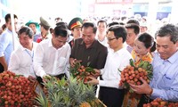 Pembukaan Festival Leci Thanh Ha tahun 2018