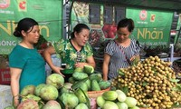 Pekan buah kelengkeng dan hasil pertanian yang aman Provinsi Son La di Kota Ha Noi