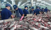 Menggelarkan UU mengenai Perikanan dan mengatasi “kartu kuning” IUU di provinsi-provinsi pesisir daerah Nam Bo Tengah