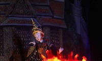 Banyak rombongan internasional berpartisipasi pada Festival wayang di Provinsi Ninh Binh.