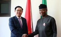 Mendorong kerjasama di semua segi dengan mitra terbesar Vietnam di Afrika