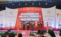 Mengumumkan 500 Besar badan usaha yang mendapat keuntungan terbaik di Vietnam tahun 2019