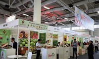 Badan-badan usaha anggota Asosiasi Hortikultura Vietnam berpartisipasi pada Pekan Raya “Fruit Logistica 2020”