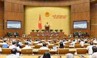 MN Vietnam angkatan XIV mengesahkan beberapa Resolusi,dan Undang-Undang.