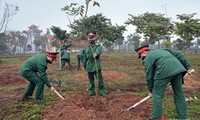 Pesta Penghijauan  2022: Memperkuat Perlindungan dan Pengembangan Hutan