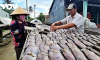 Program OCOP untuk Tingkatkan Kualitas Merek “Ikan Sepat Siam Kering U Minh” dari Provinsi Ca Mau