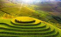 Memperkenalkan keindahan sawah terasering di Mu Cang Chai dan gua Son Doong