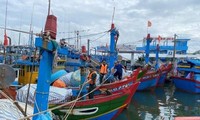 Provinsi-Provinsi di Vietnam Tengah Giat Menghadapi Taupan Noru