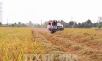 Konferensi Global ke-4 tentang Sistem Pangan dan Bahan Makanan