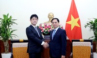 Mendorong Konkretisasi Kerangka Kemitraan Strategis yang Komprehensif Vietnam-Jepang