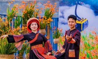 Festival Bunga Don Lua (Montbretia) yang Berwarna-warni Tahun 2024