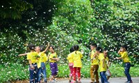 Memperkenalkan Taman Nasional Cuc Phuong dan Bukit Pasir Mui Ne