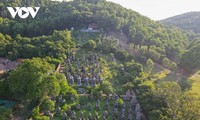 Pagoda Bo Da - Tempat dengan Taman Stupa Terbesar di Vietnam