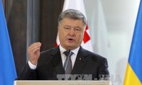 Ukraine to pursue EU and NATO membership