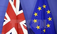 UK not considering a no-deal Brexit