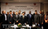 Vietnam, Mozambique boost agricultural cooperation