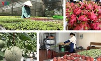 Vietnam, China seek to bolster agricultural trade despite epidemic