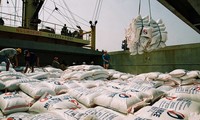 Vietnam begins exporting rice to Australia 