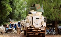 Vietnam supports integrated approach to address challenges in Mali