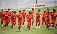 Vietnam national team to play friendly against Jordan on May 31