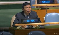 Vietnam pledges to promote role of UN Charter, international law