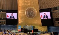 Vietnam shares experience at UN Meeting on HIV/AIDS 