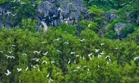 Vietnam promotes cooperation on nature preservation with WWF