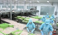 Участие Вьетнама в Международной ярмарке морепродуктов в США