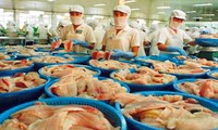 Экспорт сельскохозяйственной продукции Вьетнама в Россию