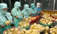 В Ханое прошел семинар «Рынок сельхозпродукции в 2013 году»