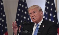 Президент Дональд Трамп планирует прекратить выдачу гражданства США по праву рождения