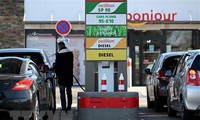 ОПЕК сохранила прогноз роста мирового спроса на нефть в 2024 году