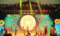 Thành phố Hồ Chí Minh đón chào năm mới 2013