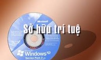 Việt Nam-Hoa Kỳ thảo luận về thực thi quyền sở hữu trí tuệ 