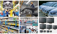 Doanh nghiệp Việt Nam trước sức ép giảm thuế hàng hóa nhập khẩu từ các nước ASEAN