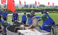 Tuổi trẻ Thủ đô chung tay xây dựng “Hà Nội văn minh” 