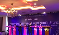 Hà Nội mít tinh kỷ niệm Ngày Quốc tế Người khuyết tật 3/12